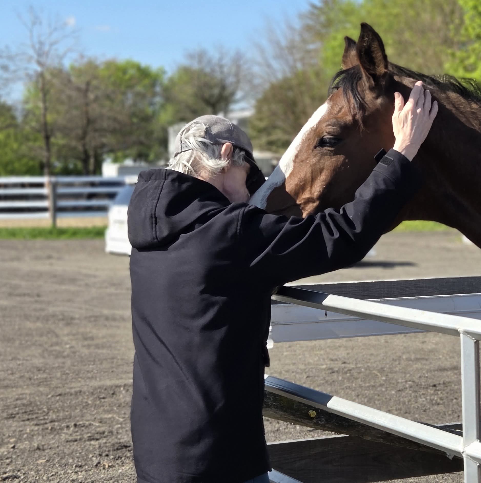 A participant gently strokes a horse's face over a paddock fence on a sunny day