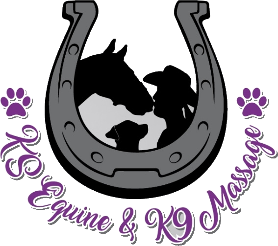 K9 Equine & K9 Massage logo